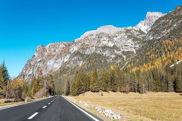 Naklejka premium country asphalt road in dolomites alps at autumn season