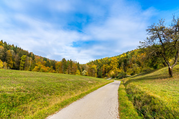 Fototapeta na wymiar Path to enchanted colorful autumn forest
