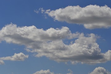 Fototapeta na wymiar clouds in blue sky