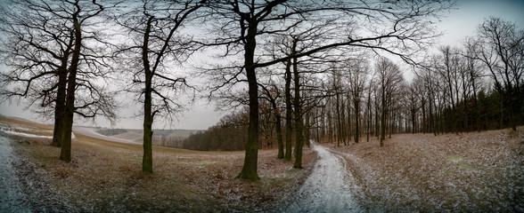 Landscape with an earth road between agricultural fields. Covered by first snow