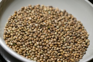 Hemp seeds in the bowl. Slovakia