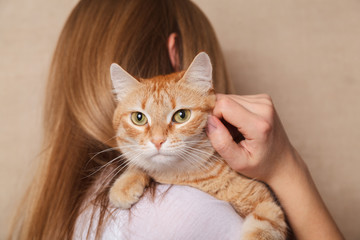 Happy ginger tabby cat on the woman's shoulder. Beautiful striped red cat on the shoulder blonde, beige background