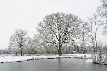 Winter im Münsterland