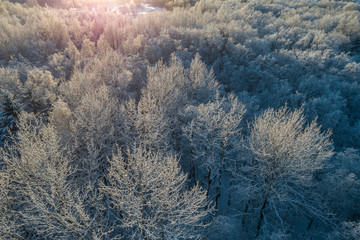 Aerial view of a beautiful sunset in the winter forest. 