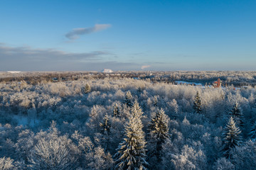 Aerial view of a beautiful sunset in the winter forest. 