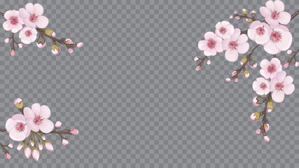Handmade background in oriental style. Festive frame horizontal of sakura flowers. Magenta on white fond. Design element for fabric, invitations, packaging, cards.