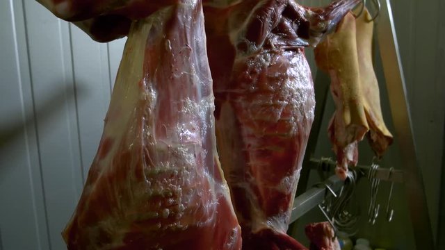 Carcasses of raw beef meat hanging on hooks. Close up view of peeled pork hanging on hooks at the butcher shop. Meat processing and packaging factory.