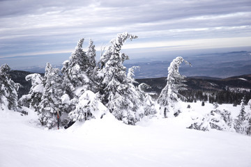 Karkonosze mountains in winter, Kopa ski resort in winter, winter mountain landscape