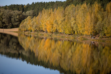 beautiful colors of the autumn forest by the lake