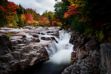 Rocky scenic gorge area during fall foliage season