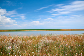 Beautiful summer landscape - wildflowers, lake and beautiful sky.