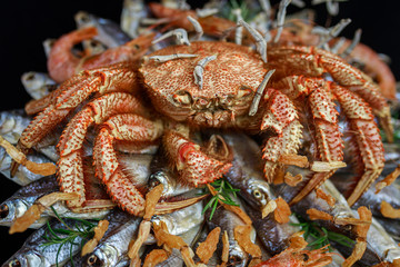 Big hairy boiled crab sits on a heap of dried salted fish on a gift bouquet on the black background, close-up