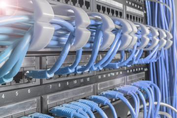 Light blue patch cord internet cables connected