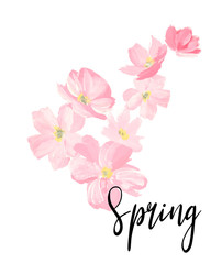 Spring lettering. greeting cards, banners and invitation card with blossom sakura flowers. Color pink sakura cherry blossom flower. 