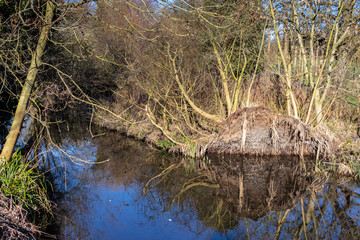 reflections in winter river