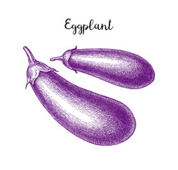 Ink sketch of eggplant.