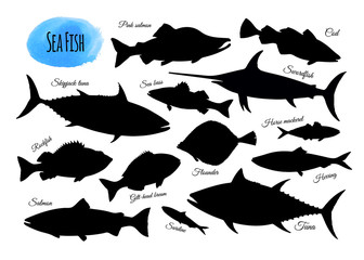 Big set of fish silhouettes.