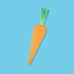 Creative vector illustration carrot.