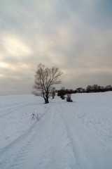 Fototapeta na wymiar Nature under the snow during winter. Slovakia