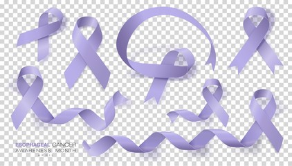 Esophageal Cancer Awareness Month. Periwinkle Color Ribbon Isolated On Transparent Background. Set. Vector Design Template For Poster.