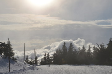 Winter landscape