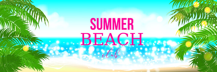 Summer time club seashore palm landscape
