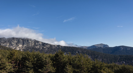 Mountains and wild forests full of color