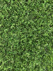 Artificial green grass texture or background top-view close-up