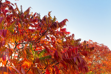 Kräftige Farben