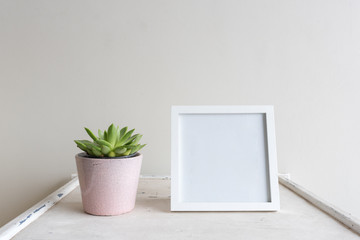 Close up of single pink pot with succulent and blank square picture frame on table against neutral wall background (selective focus)