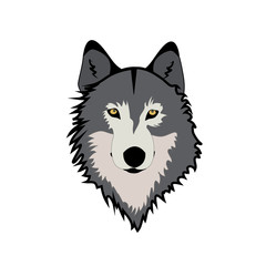 Muzzle wolf vector illustration