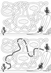 Ladybugs maze