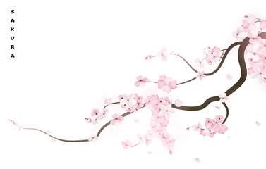 Realistic sakura japan cherry branch with blooming flowers. Vector illustration © writerfantast