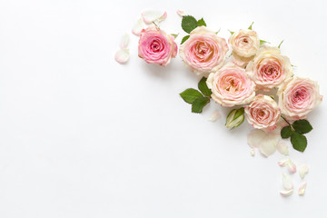 Spring background with roses. Top view