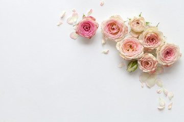 Spring background with roses. Top view