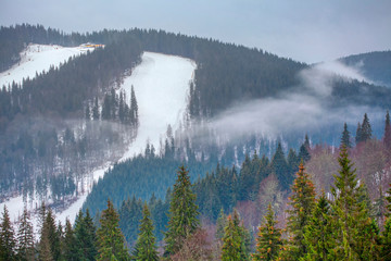 haze over mountain and coniferous forest 