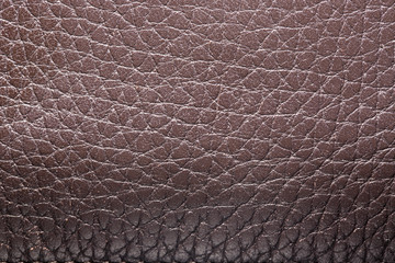 Full frame macro photo of natural brown leather texture