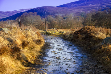 Rural landscape. Glen Mark in Angus, Scotland, UK. Cairngorms National Park.