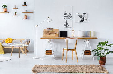 Rug and plant in front of wooden chair at desk in white workspace interior with posters. Real photo