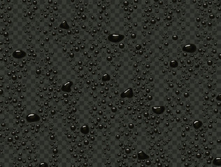 Water rain drops or steam shower isolated on dark transparent background. Realistic black droplets condensed on glass surface. Vector ink, paint splatter or oil bubbles template.