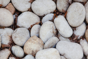 large grey pebbles