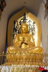 Statue of Buddha on World peace stupa near Pokhara, Nepal