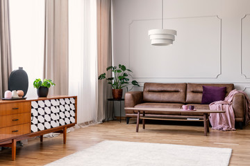 Plant on wooden cupboard in retro living room interior with leather sofa under lamp. Real photo