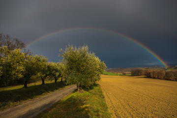 Splendido arcobaleno durante un temporale in Toscana