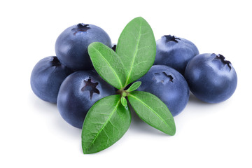 fresh blueberry with leaves isolated on white background closeup