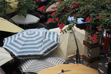 Umbrellas at Madeira