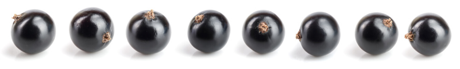 black currant with leaf isolated on white background. Set or collection