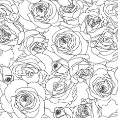 Seamless floral pattern. Line art roses background