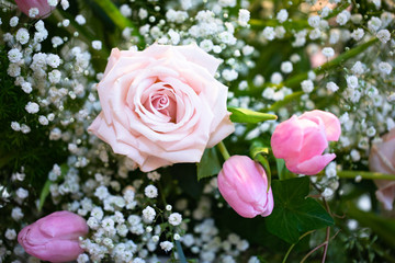 Light pink rose with dark pink tulips and baby's breath