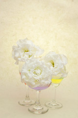 トルコキキョウとグラス